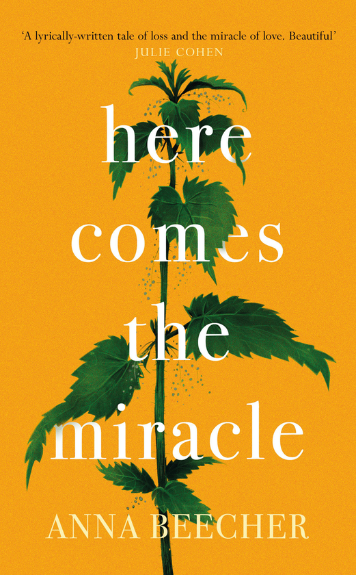 Паперова книга «Here Comes the Miracle», автор Анна Бічер - фото №1