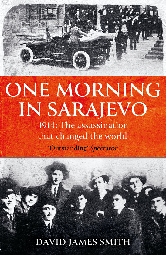 Паперова книга «One Morning In Sarajevo», автор Девід Джеймс Сміт - фото №1