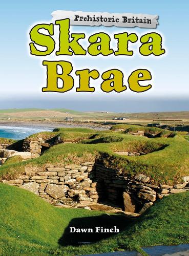 Бумажная книга «Skara Brae», автор Доун Финч - фото №1