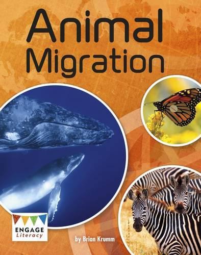 Паперова книга «Animal Migration», автор Брайан Крумм - фото №1