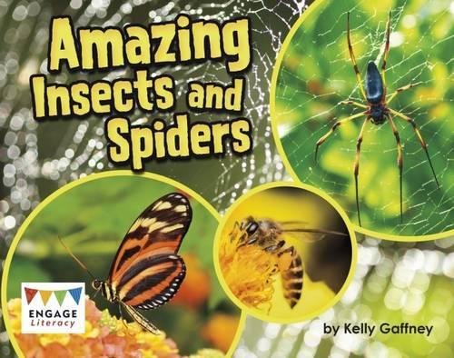 Бумажная книга «Amazing Insects and Spiders», автор Келли Гаффни - фото №1