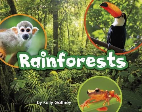 Бумажная книга «Rainforests», автор Келли Гаффни - фото №1