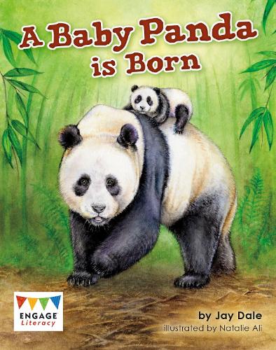 Паперова книга «A Baby Panda is Born», автор Джей Дейл - фото №1
