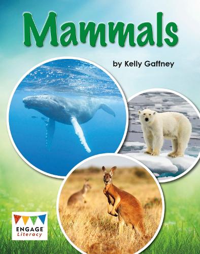 Бумажная книга «Mammals», автор Келли Гаффни - фото №1