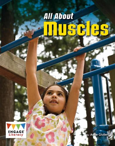 Паперова книга «All About Muscles», автор Анна Джульєрі - фото №1