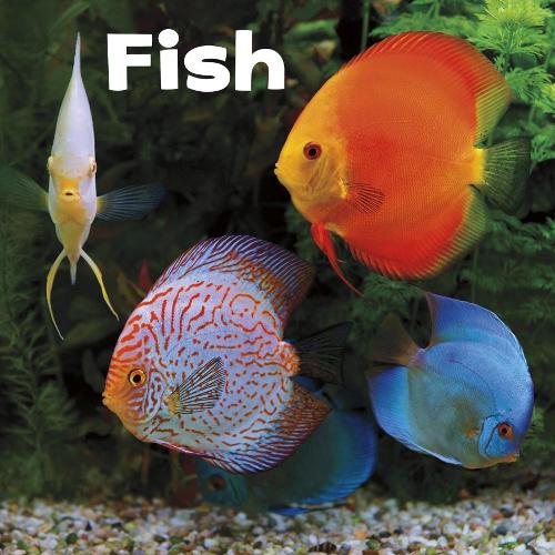 Паперова книга «Fish», автор Ліза Дж. Амстуц - фото №1