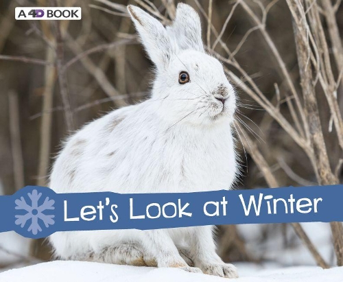 Паперова книга «Let's Look at Winter», автор Сара Л. Шютте - фото №1