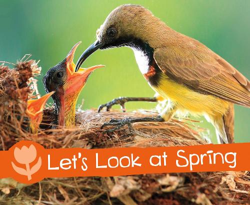 Паперова книга «Let's Look at Spring», автор Сара Л. Шютте - фото №1