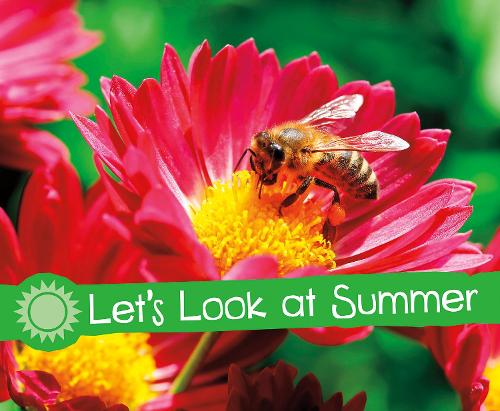 Паперова книга «Let's Look at Summer», автор Сара Л. Шютте - фото №1