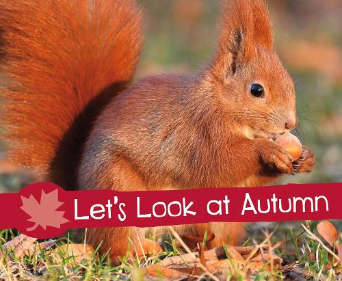 Паперова книга «Let's Look at Autumn», автор Сара Л. Шютте - фото №1