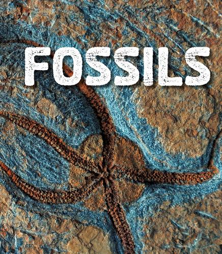 Бумажная книга «Fossils», автор Ава Сойер - фото №1