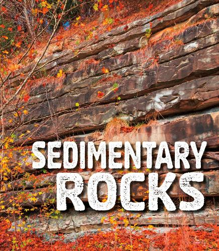 Паперова книга «Sedimentary Rocks», автор Ава Сойєр - фото №1