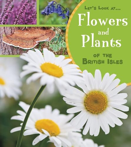 Паперова книга «Flowers and Plants of the British Isles», автор Люсі Бівор - фото №1