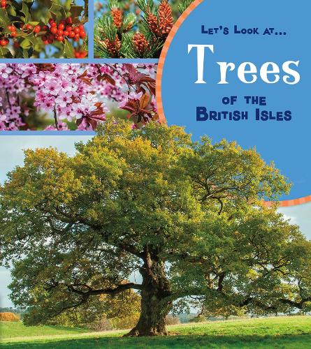 Бумажная книга «Trees of the British Isles», автор Люси Бивор - фото №1