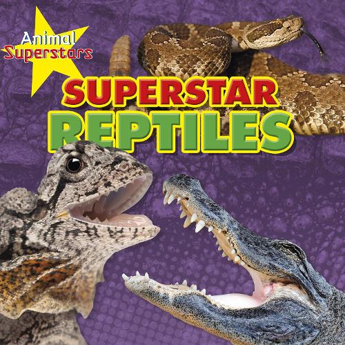 Паперова книга «Reptile Superstars», автор Луїза Спілсбері - фото №1