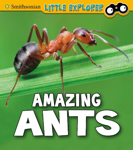 Паперова книга «Amazing Ants», автор Меган Кулі Петерсон - фото №1