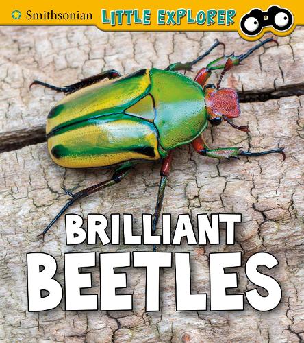 [object Object] «Brilliant Beetles», автор Мелисса Хиггинс - фото №1