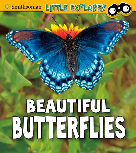 Бумажная книга «Beautiful Butterflies», автор Мелисса Хиггинс - фото №1