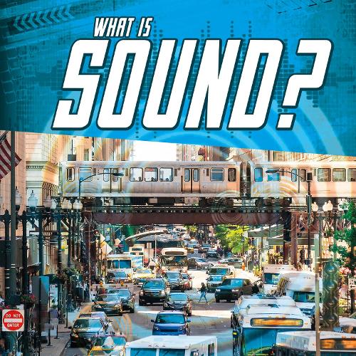 [object Object] «What Is Sound?», автор Джоди С. Рейк - фото №1