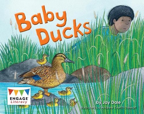 Паперова книга «Baby Ducks», автор Джей Дейл - фото №1