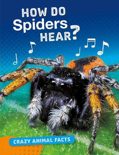 Паперова книга «How Do Spiders Hear?», автор Ненсі Ферстінгер - фото №1