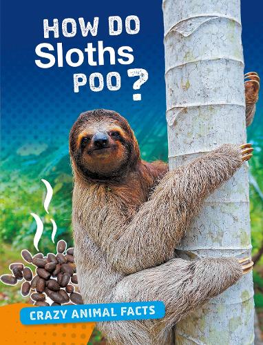 Паперова книга «How Do Sloths Poo?», автор Ненсі Ферстінгер - фото №1