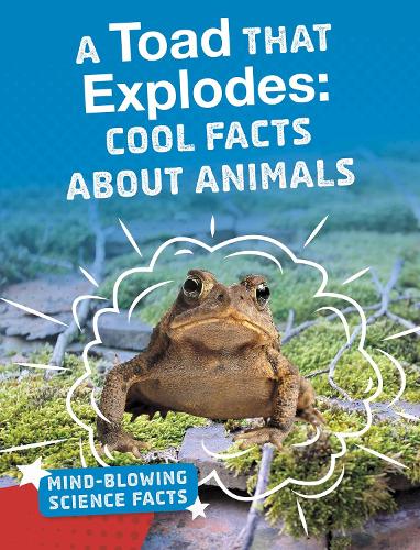 Паперова книга «A Toad That Explodes: Cool Facts About Animals», автор Мелісса Абрамовіц - фото №1