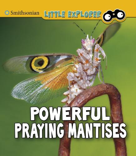 [object Object] «Powerful Praying Mantises», автор Мелисса Хиггинс - фото №1