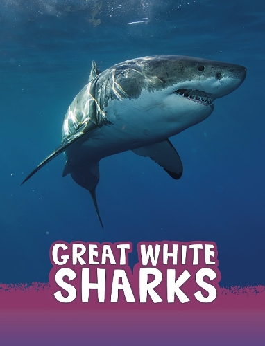 Паперова книга «Great White Sharks», автор Жаклін Джейкокс - фото №1