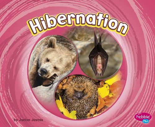 Бумажная книга «Hibernation», автор Жаклин Джейкокс - фото №1