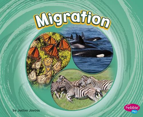 Бумажная книга «Migration», автор Жаклин Джейкокс - фото №1