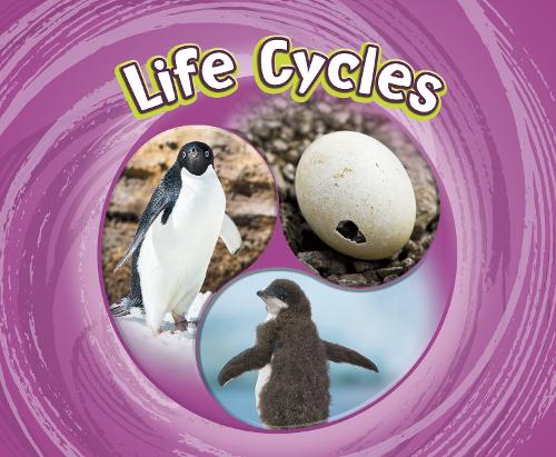 Бумажная книга «Life Cycles», автор Жаклин Джейкокс - фото №1