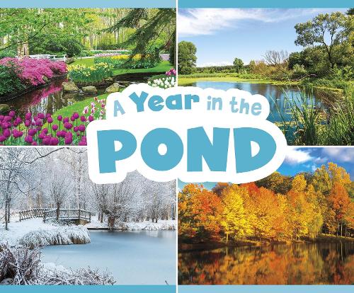 Бумажная книга «A Year in the Pond», автор Кристина Миа Гардески - фото №1