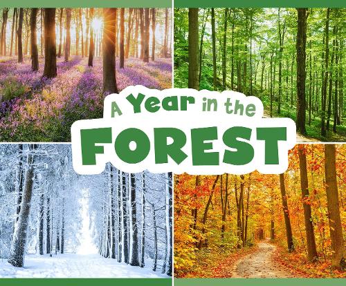 Бумажная книга «A Year in the Forest», автор Кристина Миа Гардески - фото №1