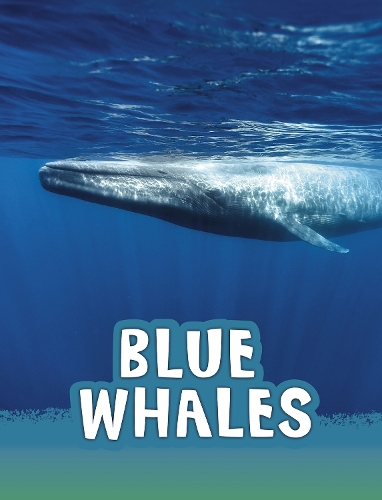 Бумажная книга «Blue Whales», автор Мари Шух - фото №1