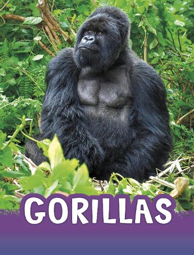 [object Object] «Gorillas», автор Жаклін Джейкокс - фото №1