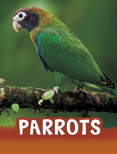 Бумажная книга «Parrots», автор Мари Шух - фото №1