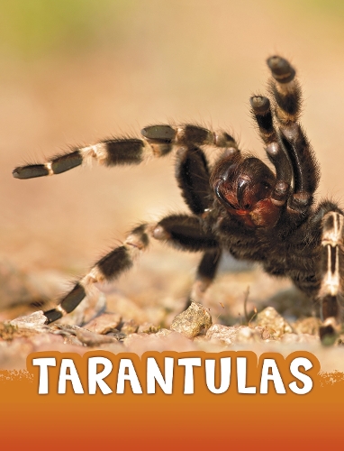 [object Object] «Tarantulas», автор Жаклін Джейкокс - фото №1