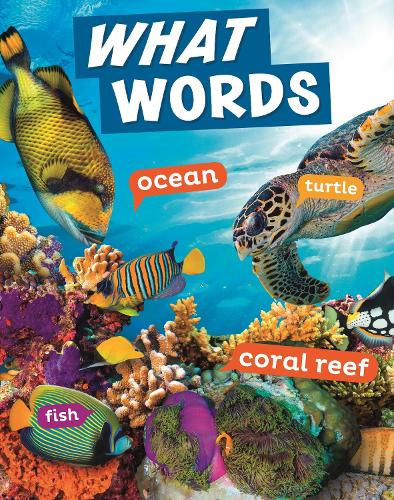Бумажная книга «What Words», автор Кэрри Б. Шили - фото №1