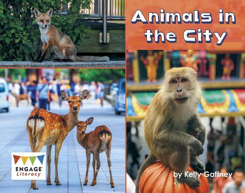 Паперова книга «Animals in the City», автор Келлі Гаффні - фото №1