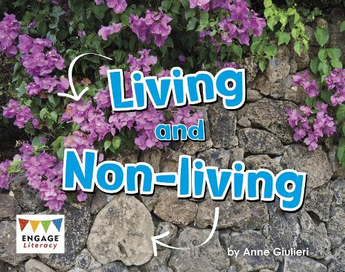 Паперова книга «Living and Non-Living», автор Анна Джульєрі - фото №1