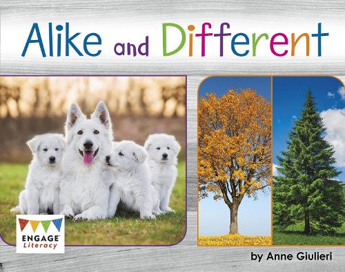 Паперова книга «Alike and Different», автор Анна Джульєрі - фото №1