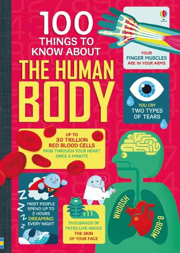 Бумажная книга «100 Things to Know About the Human Body», авторов Алекс Фрит, Джонатан Мелмот, Мэтью Олдэм, Минна Лейси - фото №1