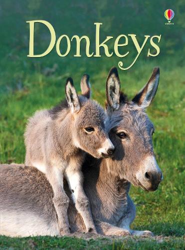 [object Object] «Donkeys», автор Джеймс Маклейн - фото №1