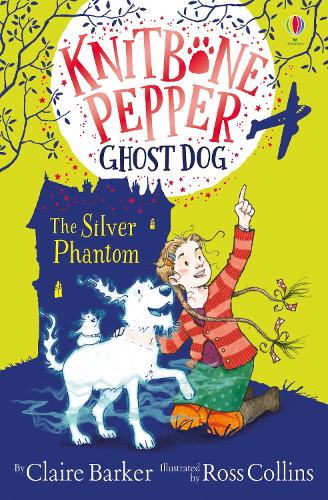 Паперова книга «The Silver Phantom», автор Клер Баркер - фото №1