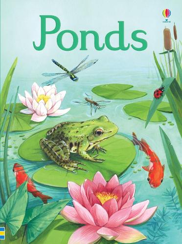 Бумажная книга «Ponds», автор Эмили Боун - фото №1