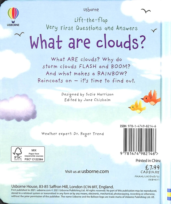 [object Object] «Lift-the-flap Very First Questions and Answers. What are Clouds?», автор Кэйти Дэйнс - фото №2 - миниатюра