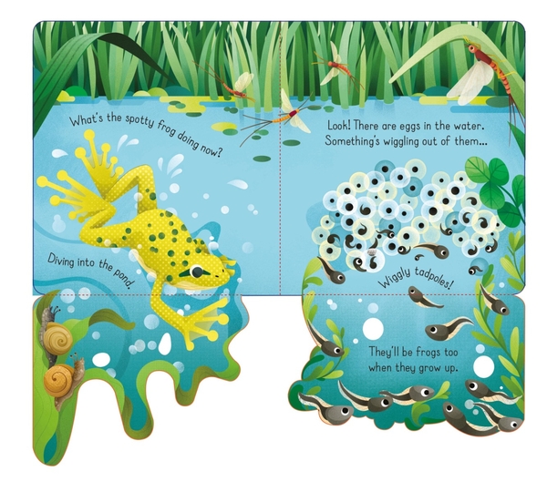 Паперова книга «Little lift and look Spotty Frog», автор Анна Мілборн - фото №1