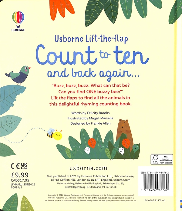 Паперова книга «Count to Ten and Back Again», автор Фелісіті Брукс - фото №1