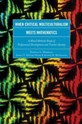 Паперова книга «When Critical Multiculturalism Meets Mathematics: A Mixed Methods Study of Professional Development and Teacher Identity», авторів Еллісон В. Маккалох, Джессіка Т. ДеКуїр-Ганбі, Патриція Л. Маршалл - фото №1